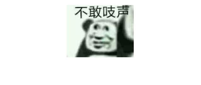 154W！AI圈彻底沸腾吧！这个好消息来得太及时！