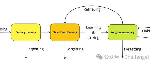 如何在Agent中设置Memory