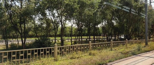 强化学习数据合成框架SynLogic及语音大模大模型评估