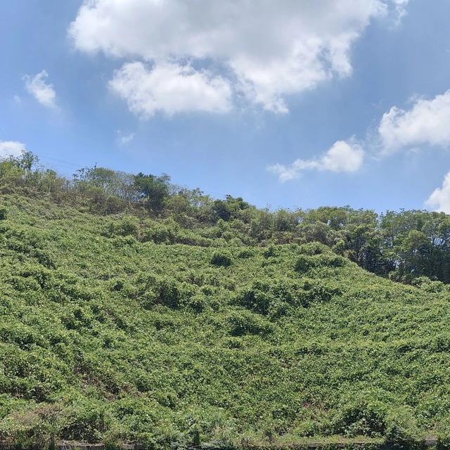 落地角度看Agent搭建的稳妥到激进路线及VLLM图片分辨率策略
