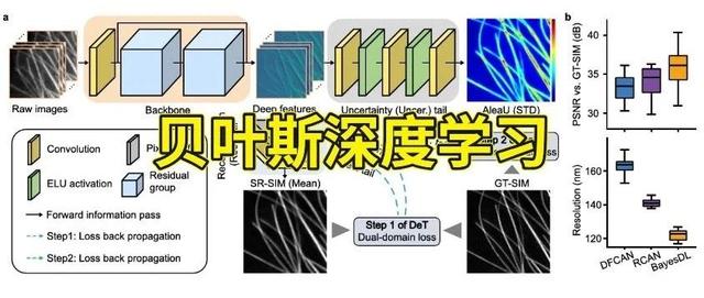贝叶斯深度学习!华科大《Nat. Commun.》发表BNN重大突破!