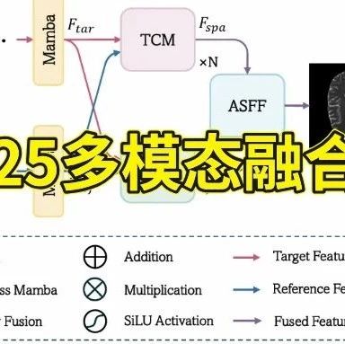 多模态融合原来这么好发论文？看完我像被“点醒”，太赞啦！