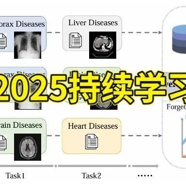左手Nature，右手CVPR！持续学习(Continual Learning)才是2025发文捷径！
