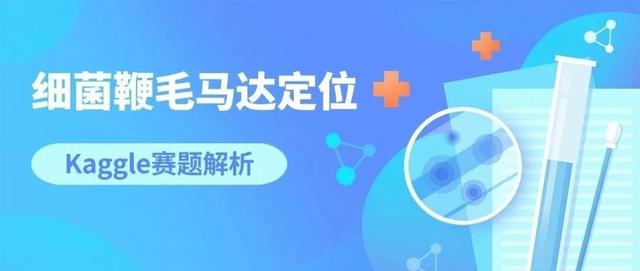 Kaggle赛题解析：BYU 2025细菌鞭毛马达定位
