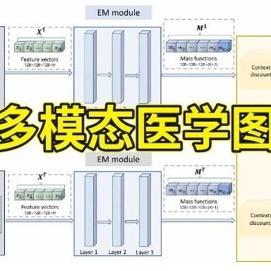 多模态医学图像创新突破，成果登上Nature正刊！