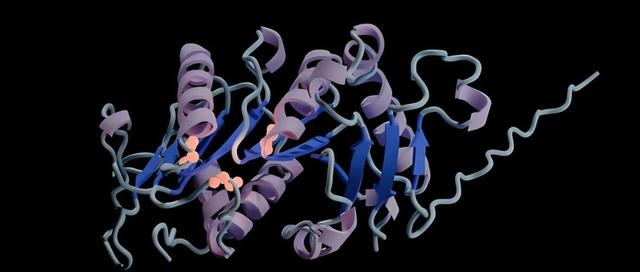 集成Evo2与Qwen3,多伦多大学、DeepMind等开发BioReason使AI像生物学家一样推理