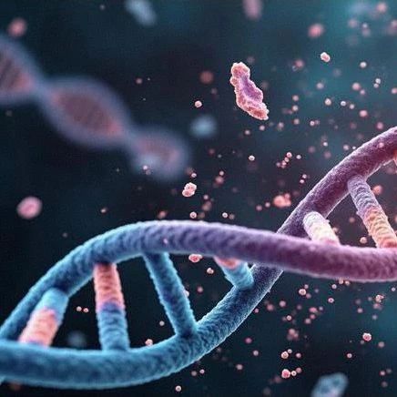 人类增强子突变敏感性图谱首次绘制:AI 与体内实验揭示发育调控密码