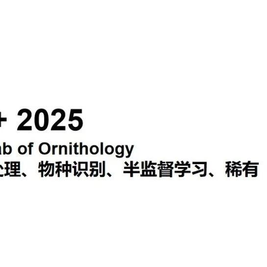 Kaggle竞赛复盘: BirdCLEF+ 2025 (14个高分方案)