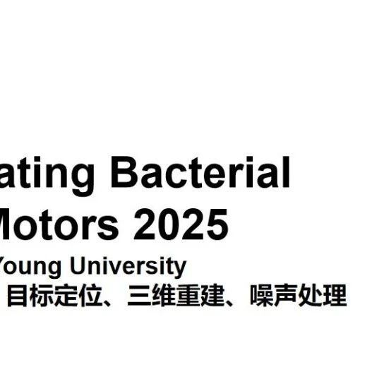 Kaggle竞赛复盘: BYU - Locating Bacterial Flagellar Motors 2025