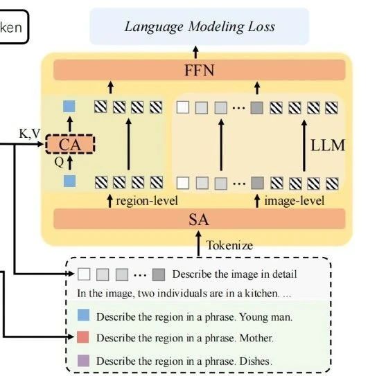 【深度学习】CVPR2025|LLMDet:在大语言模型监督下学习强大的开放词汇目标检测器