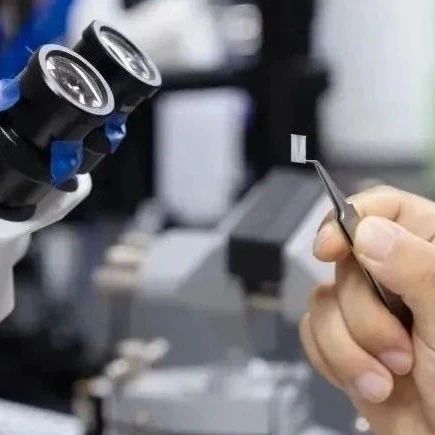 Science重磅:全球首例!复旦科学家团队通过脑机接口,使失明动物恢复视觉能力
