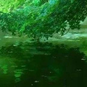 综述 | 图像特征提取与匹配技术