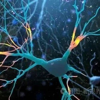 令人惊讶!Science新发现挑战了神经元遵循单一学习策略的观点