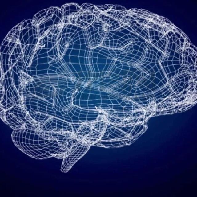 《Nature》一块大脑,5.23亿个突触,以及有史以来最复杂的神经科学实验