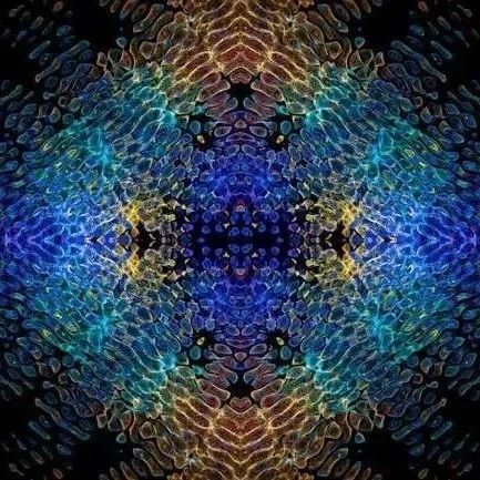 逆向设计智能物质:可微分逻辑元胞自动机破解数十年难题