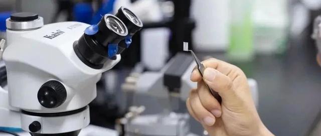 Science重磅：全球首例！复旦科学家团队通过脑机接口，使失明动物恢复视觉能力