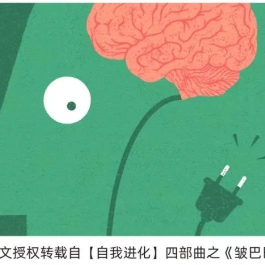 万字追问:人类需要AI,还是更需要自身AI化?