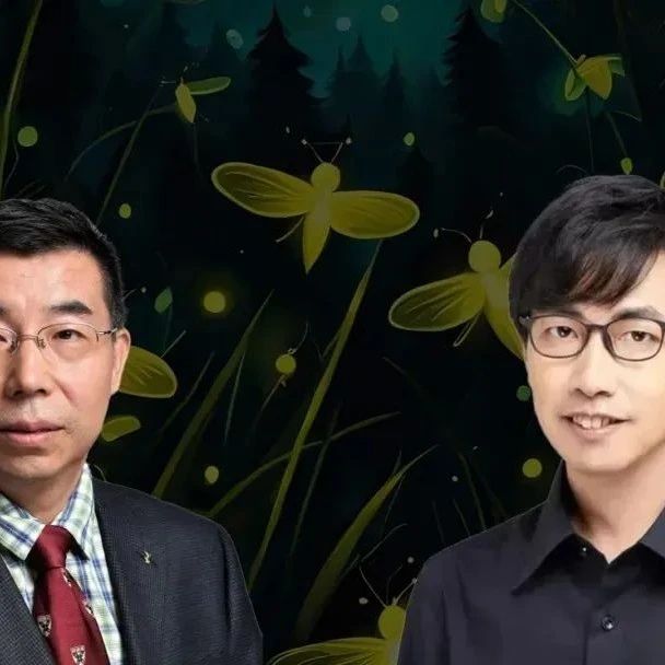 访谈：从科学视角，如何理解和研究涌现？
