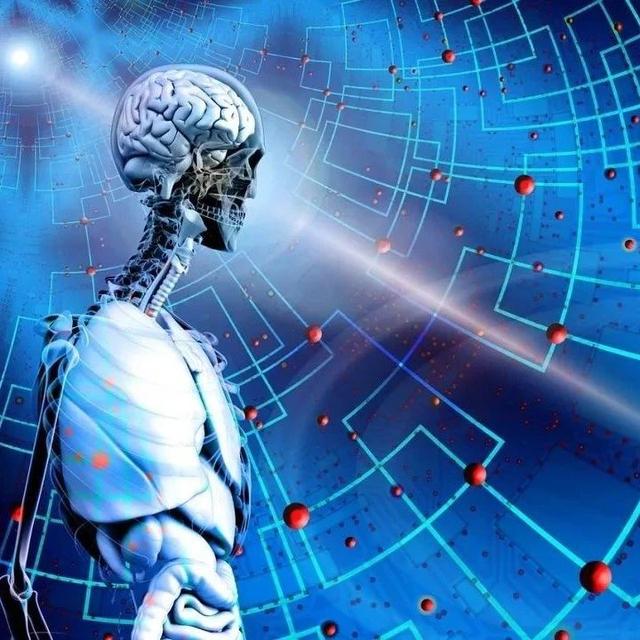 生物医药领域的Manus ，博士水平的自主通用科研智能体Biomni
