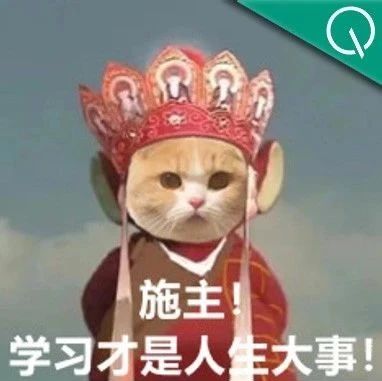 用多模态LLM超越YOLOv3！强化学习突破多模态感知极限｜开源