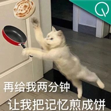 函数向量对齐技术，让大模型持续学习不“失忆”丨ICLR 2025