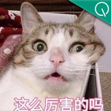 文档秒变演讲视频还带配音!开源Agent商业报告/学术论文接近人类水平