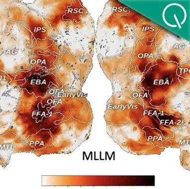 大模型能够自发形成“人类思维地图”！Nature子刊重磅研究揭示多模态大模型类脑机制